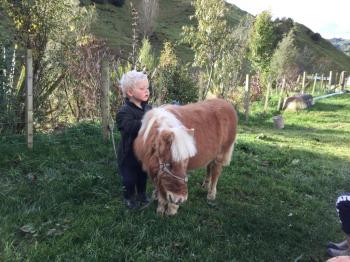 Makakahi Lodge Main image